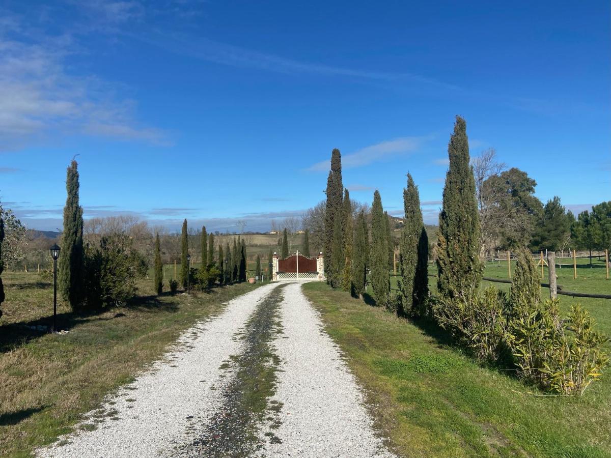 Bed And Breakfast Casale Del Sole Castellina Marittima Zewnętrze zdjęcie