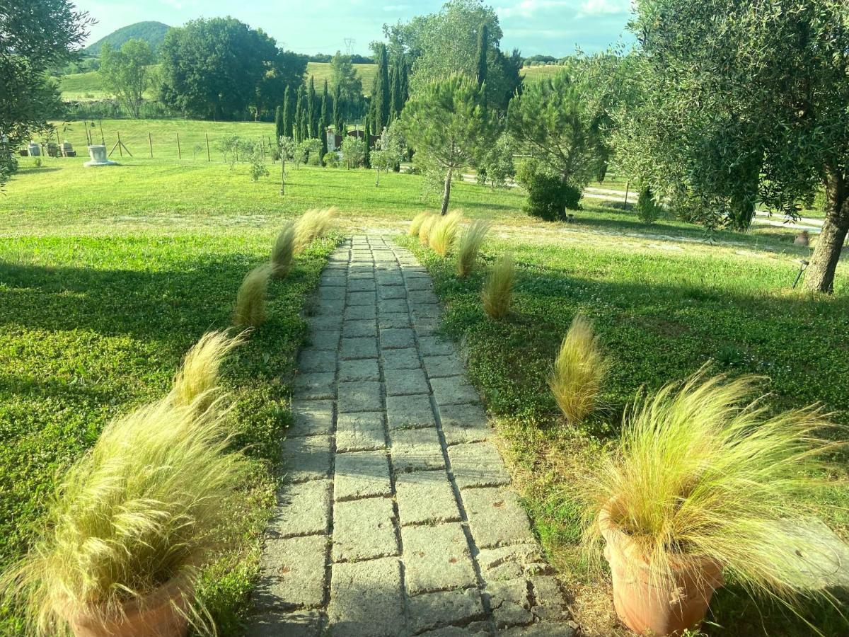 Bed And Breakfast Casale Del Sole Castellina Marittima Zewnętrze zdjęcie